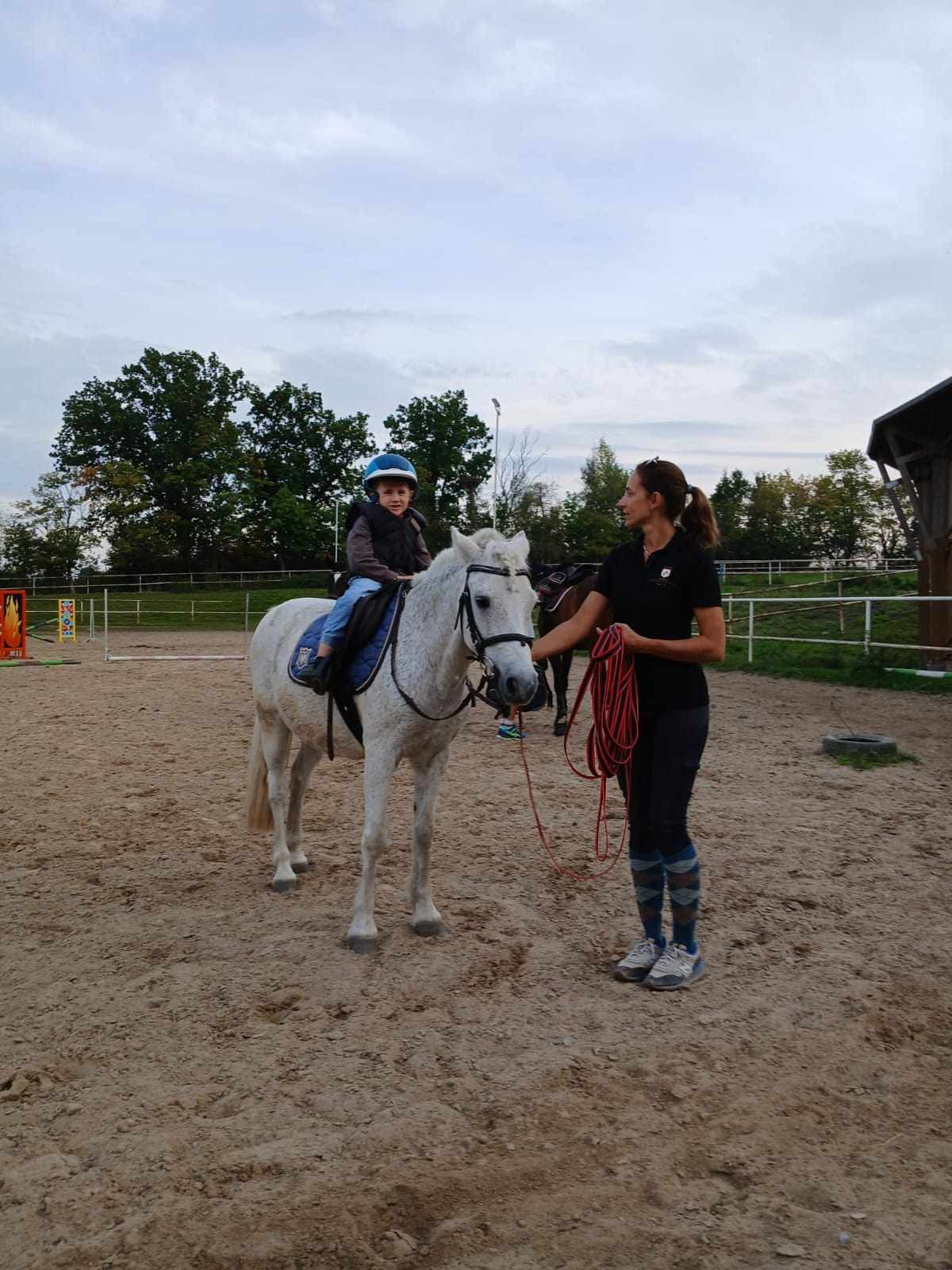 Zdjęcie 11