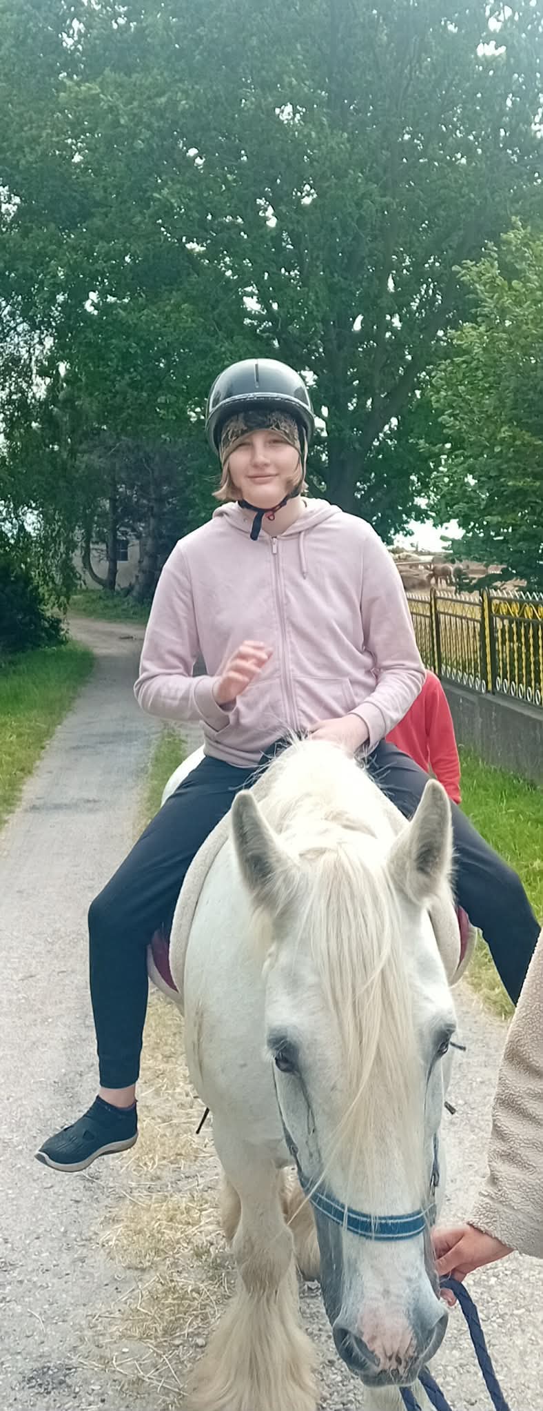 Zdjęcie 19