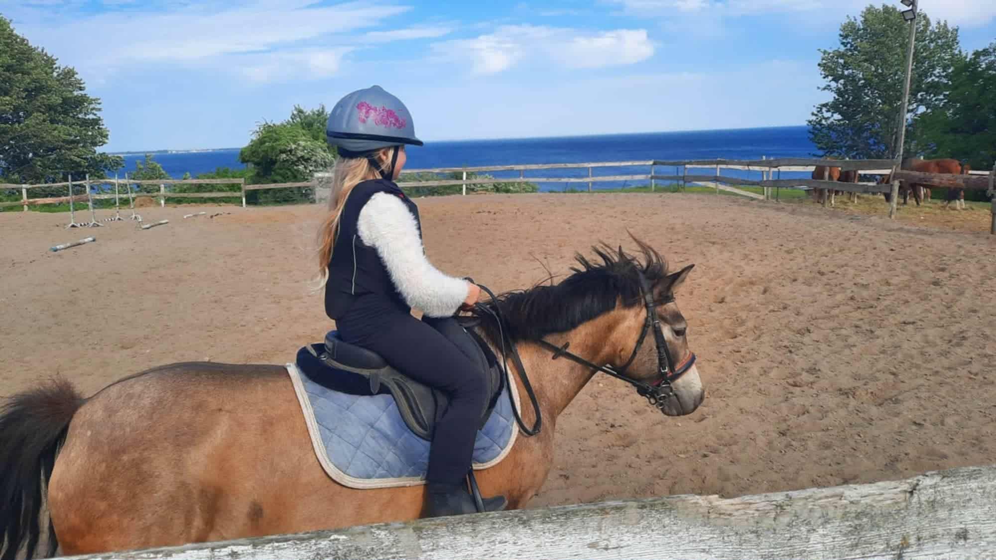 Zdjęcie 2