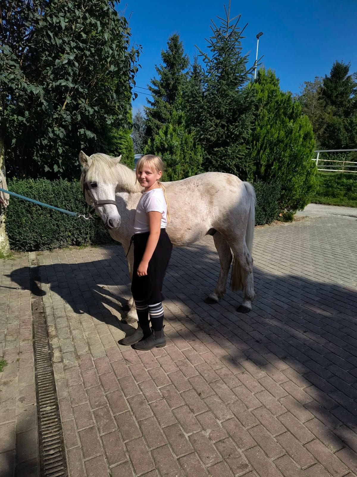 Zdjęcie 20