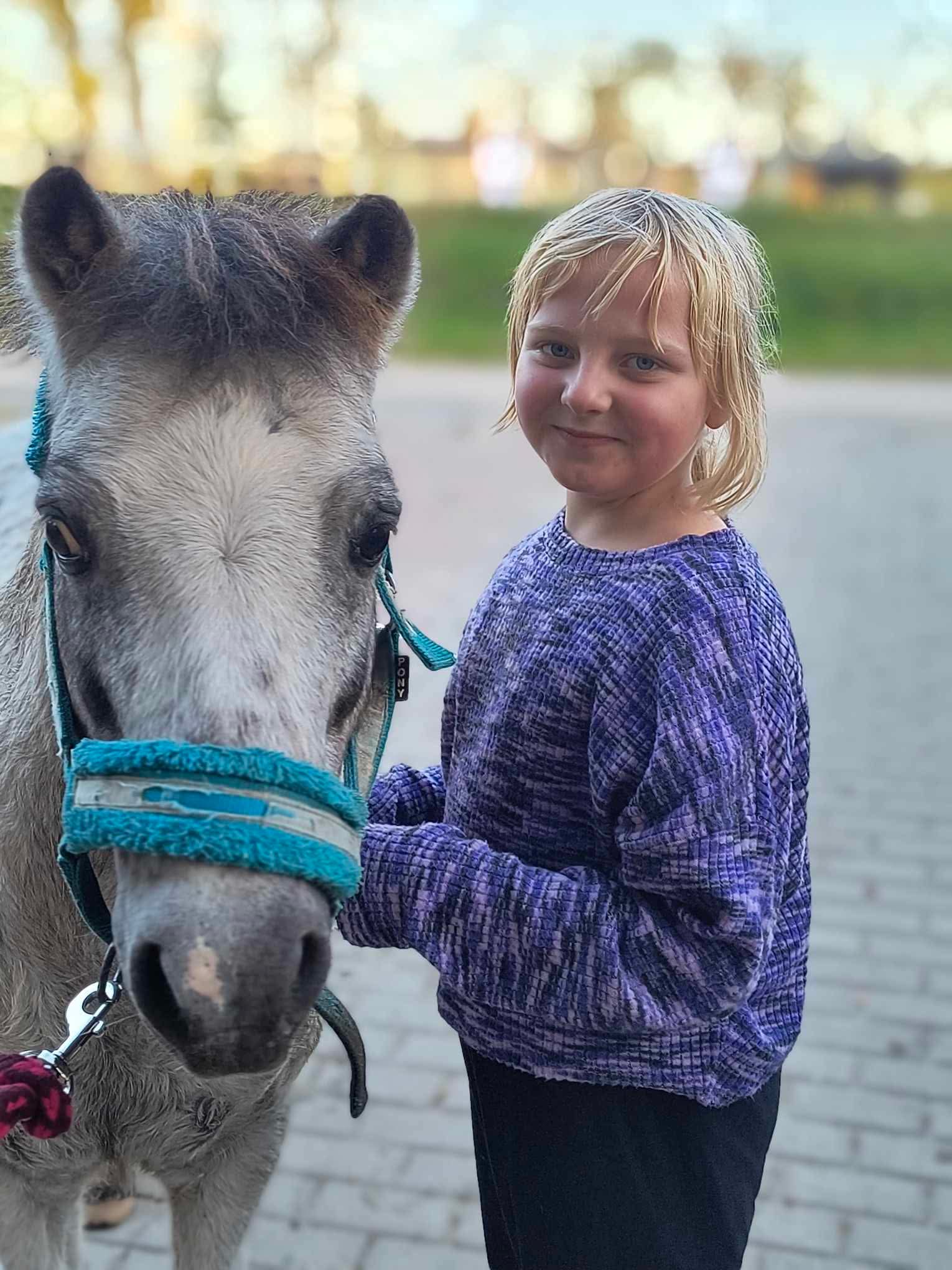 Zdjęcie 8